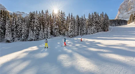 Ski/Snowboard