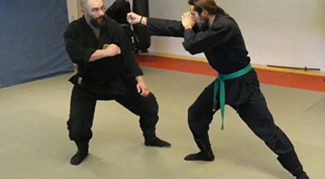 Ninjutsu